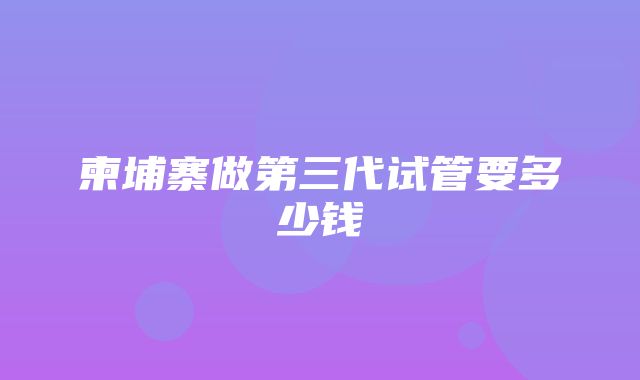 柬埔寨做第三代试管要多少钱