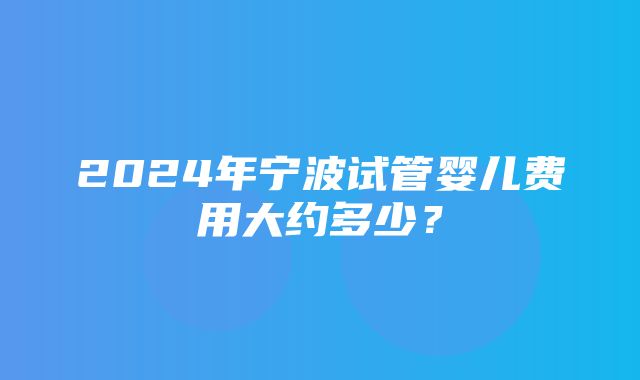 2024年宁波试管婴儿费用大约多少？