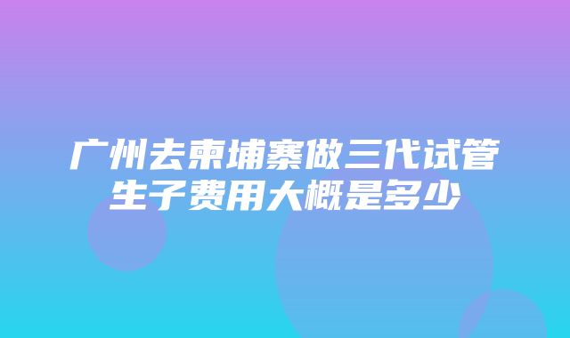 广州去柬埔寨做三代试管生子费用大概是多少