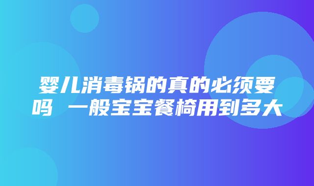 婴儿消毒锅的真的必须要吗 一般宝宝餐椅用到多大