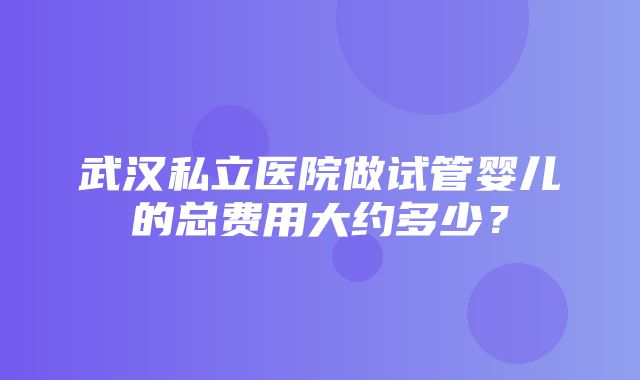 武汉私立医院做试管婴儿的总费用大约多少？