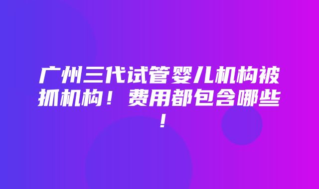 广州三代试管婴儿机构被抓机构！费用都包含哪些！