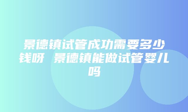 景德镇试管成功需要多少钱呀 景德镇能做试管婴儿吗