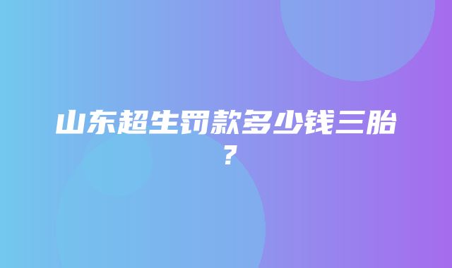 山东超生罚款多少钱三胎？