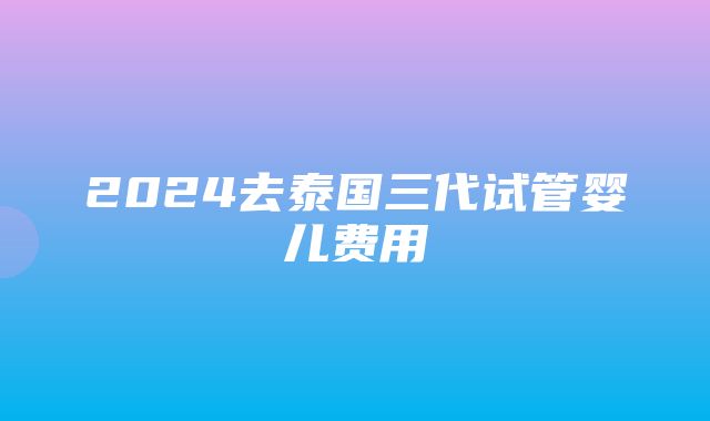 2024去泰国三代试管婴儿费用