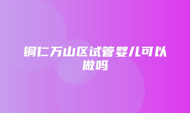 铜仁万山区试管婴儿可以做吗