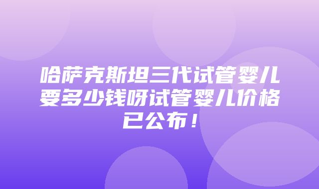 哈萨克斯坦三代试管婴儿要多少钱呀试管婴儿价格已公布！