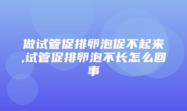 做试管促排卵泡促不起来,试管促排卵泡不长怎么回事