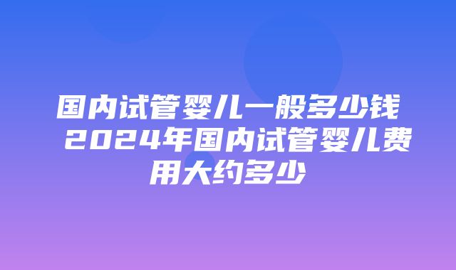 国内试管婴儿一般多少钱 2024年国内试管婴儿费用大约多少