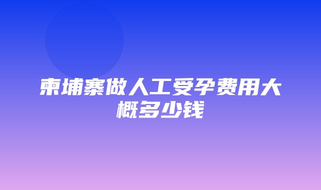 柬埔寨做人工受孕费用大概多少钱