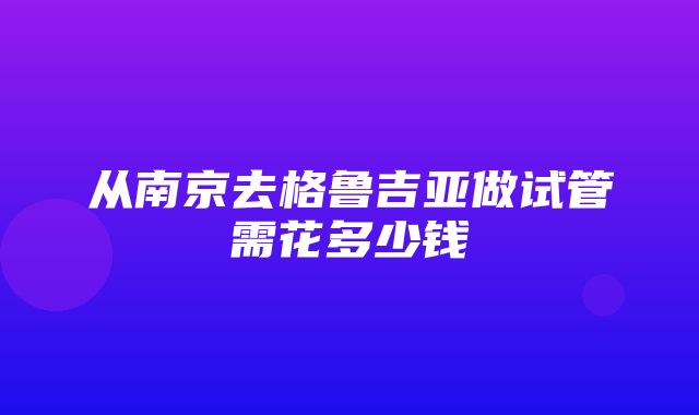 从南京去格鲁吉亚做试管需花多少钱