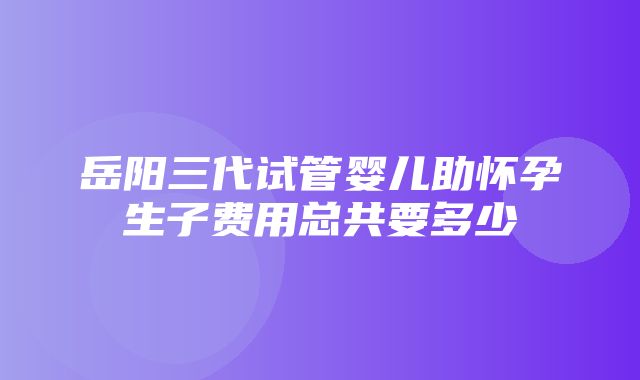 岳阳三代试管婴儿助怀孕生子费用总共要多少