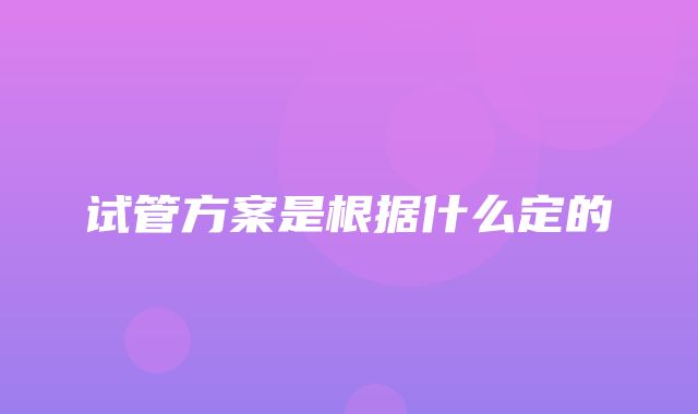 试管方案是根据什么定的