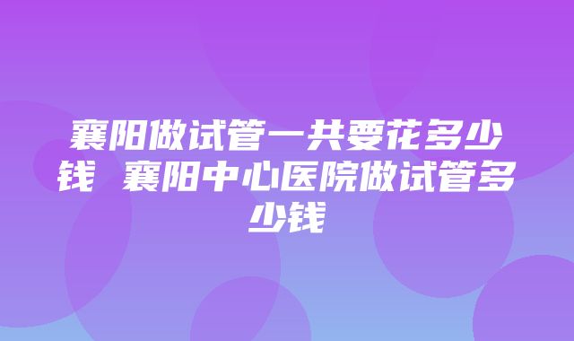 襄阳做试管一共要花多少钱 襄阳中心医院做试管多少钱