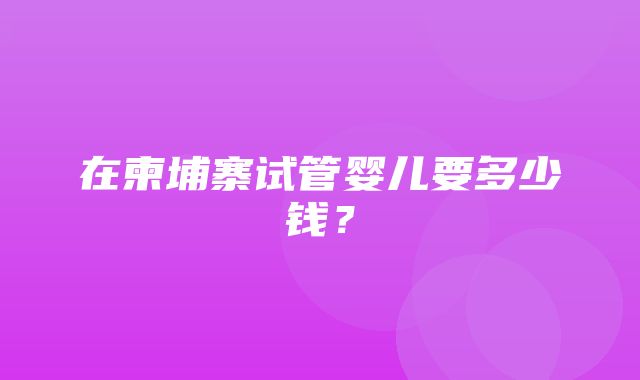 在柬埔寨试管婴儿要多少钱？