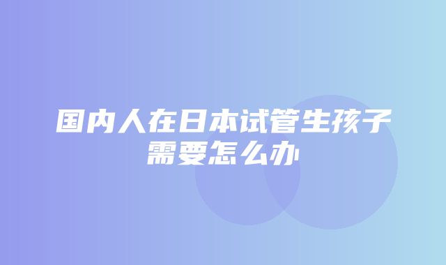 国内人在日本试管生孩子需要怎么办