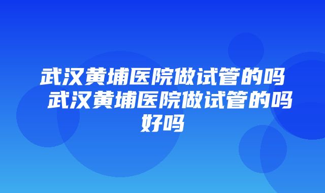 武汉黄埔医院做试管的吗 武汉黄埔医院做试管的吗好吗