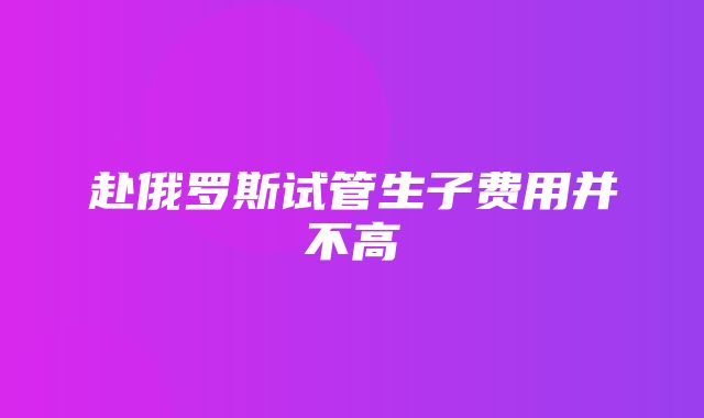 赴俄罗斯试管生子费用并不高