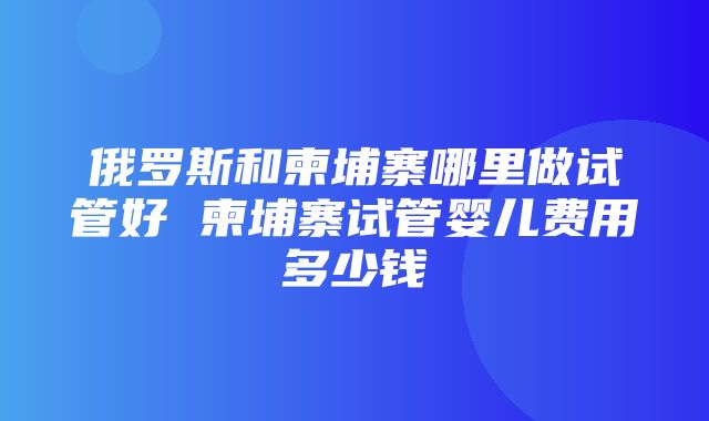 俄罗斯和柬埔寨哪里做试管好 柬埔寨试管婴儿费用多少钱