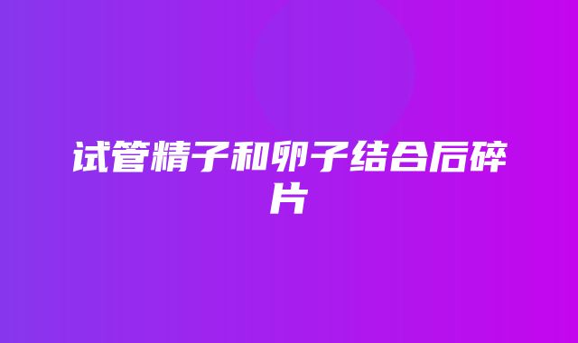 试管精子和卵子结合后碎片