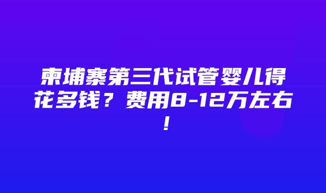 柬埔寨第三代试管婴儿得花多钱？费用8-12万左右！