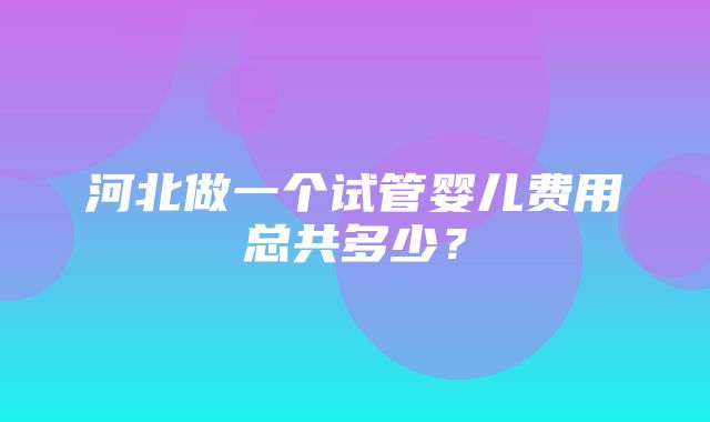 河北做一个试管婴儿费用总共多少？