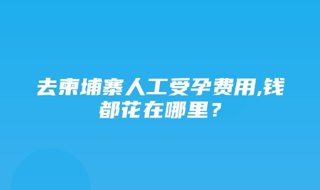 去柬埔寨人工受孕费用,钱都花在哪里？