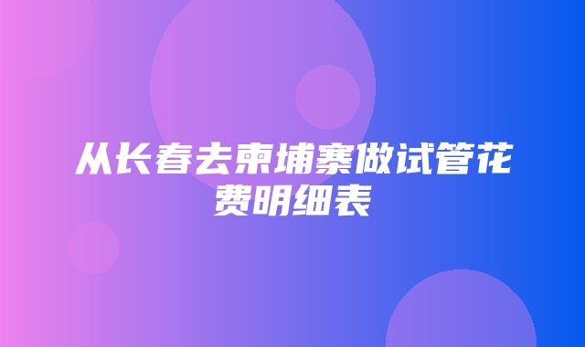 从长春去柬埔寨做试管花费明细表