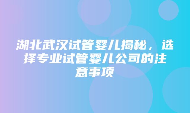 湖北武汉试管婴儿揭秘，选择专业试管婴儿公司的注意事项