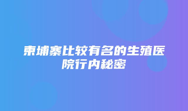 柬埔寨比较有名的生殖医院行内秘密