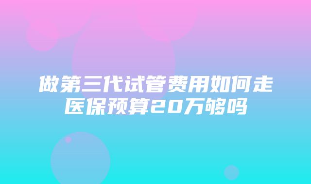 做第三代试管费用如何走医保预算20万够吗