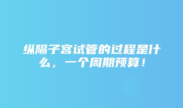 纵隔子宫试管的过程是什么，一个周期预算！