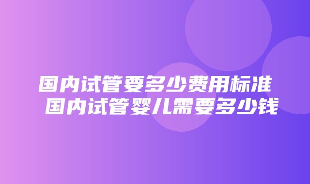 国内试管要多少费用标准 国内试管婴儿需要多少钱