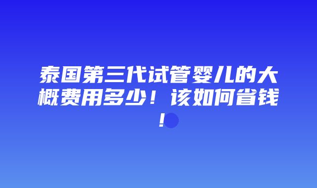 泰国第三代试管婴儿的大概费用多少！该如何省钱！