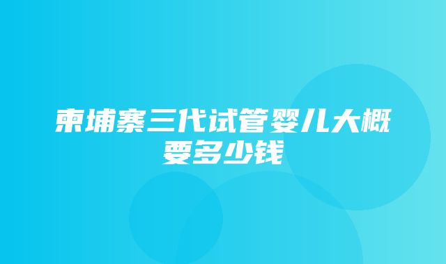 柬埔寨三代试管婴儿大概要多少钱