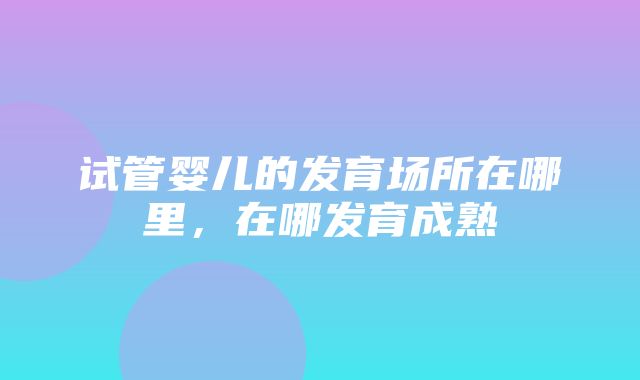 试管婴儿的发育场所在哪里，在哪发育成熟