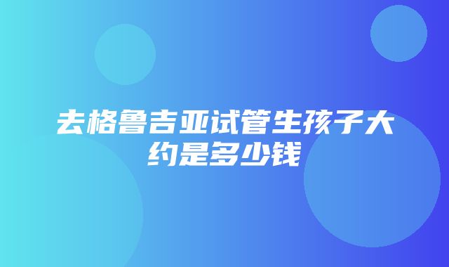 去格鲁吉亚试管生孩子大约是多少钱