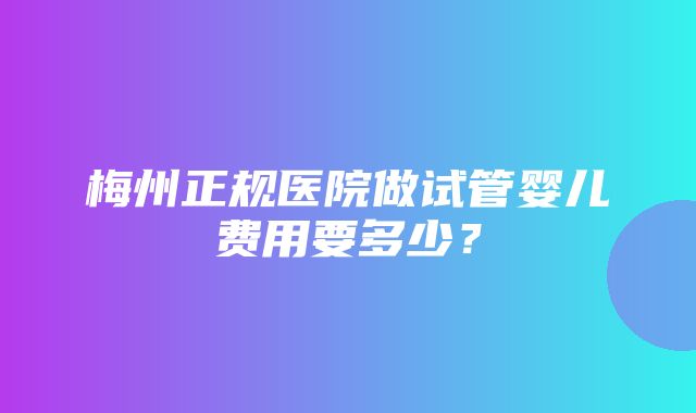 梅州正规医院做试管婴儿费用要多少？