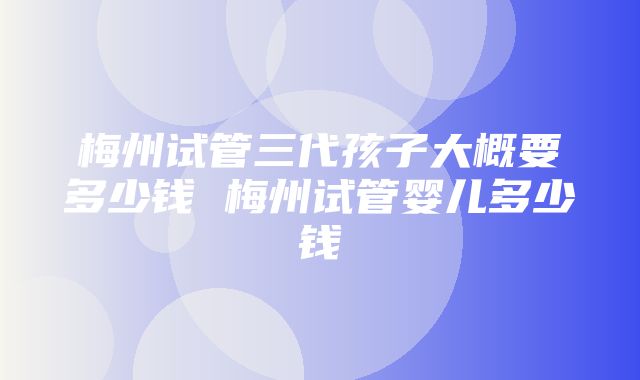 梅州试管三代孩子大概要多少钱 梅州试管婴儿多少钱