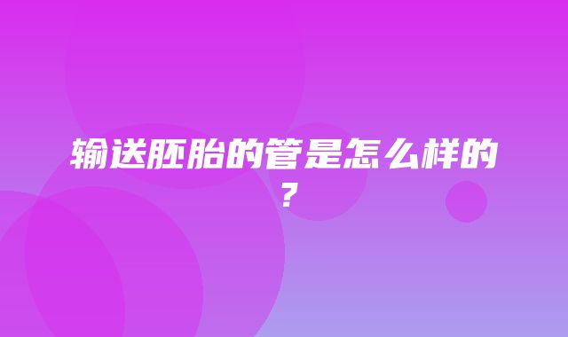 输送胚胎的管是怎么样的？