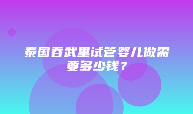 泰国吞武里试管婴儿做需要多少钱？