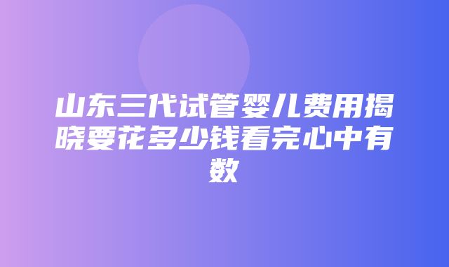 山东三代试管婴儿费用揭晓要花多少钱看完心中有数