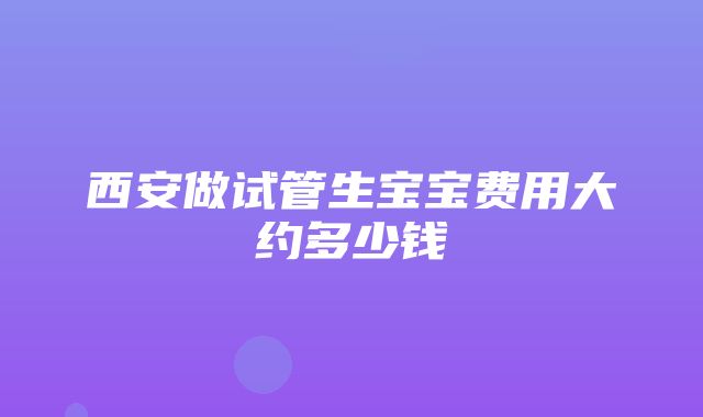 西安做试管生宝宝费用大约多少钱