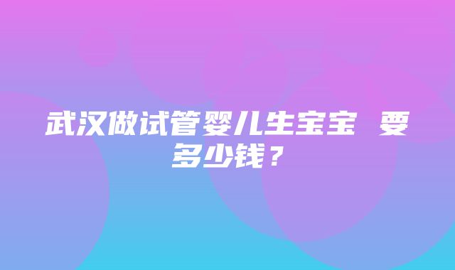 武汉做试管婴儿生宝宝 要多少钱？