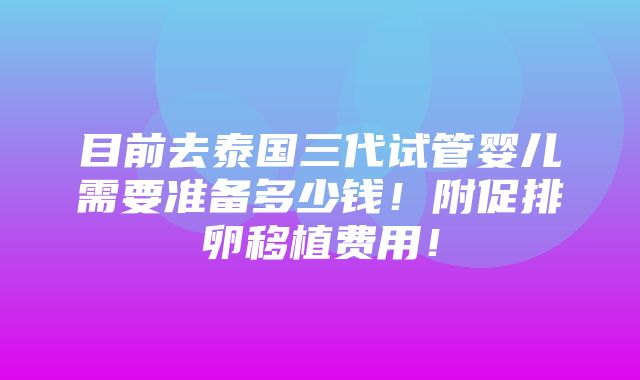 目前去泰国三代试管婴儿需要准备多少钱！附促排卵移植费用！