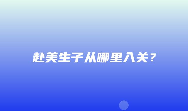 赴美生子从哪里入关？