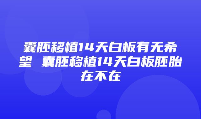 囊胚移植14天白板有无希望 囊胚移植14天白板胚胎在不在