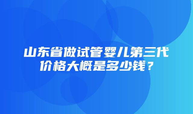 山东省做试管婴儿第三代价格大概是多少钱？