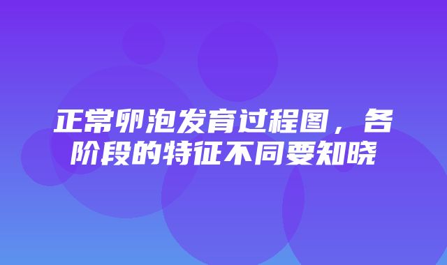 正常卵泡发育过程图，各阶段的特征不同要知晓