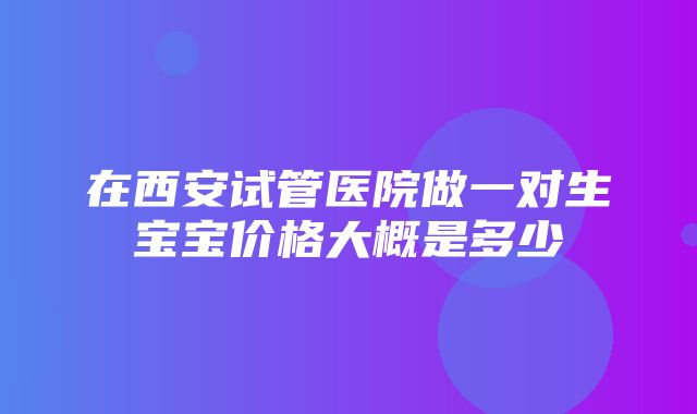 在西安试管医院做一对生宝宝价格大概是多少